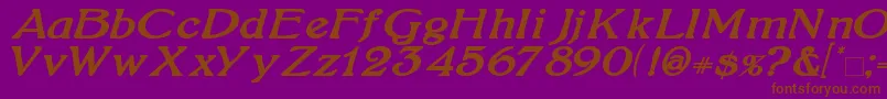 BoltonBoldItalic Font – Brown Fonts on Purple Background