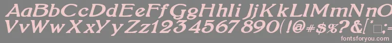 BoltonBoldItalic Font – Pink Fonts on Gray Background