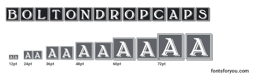 Размеры шрифта BoltonDropCaps (121810)