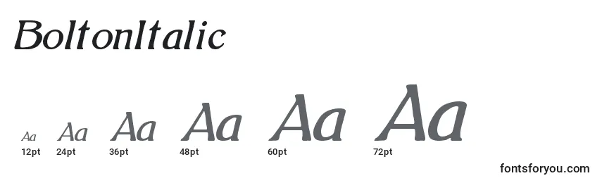 BoltonItalic (121812) Font Sizes