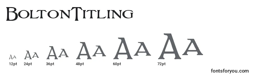 Размеры шрифта BoltonTitling (121818)
