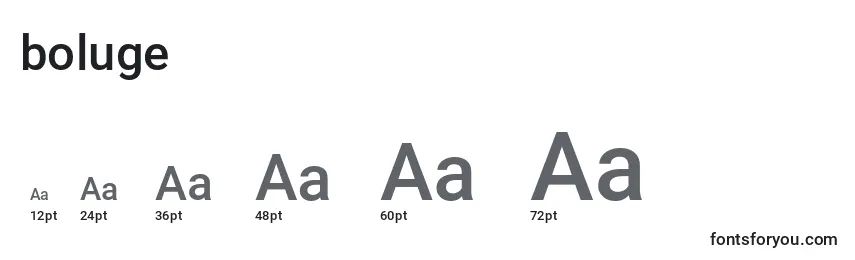 Tamaños de fuente Boluge (121823)