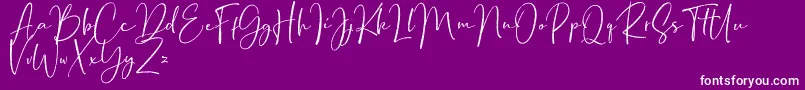 BondiSans DEMO Rough Font – White Fonts on Purple Background