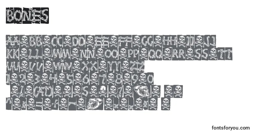 Schriftart Bones (121842) – Alphabet, Zahlen, spezielle Symbole