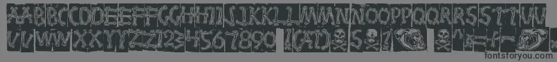 Bones Font – Black Fonts on Gray Background