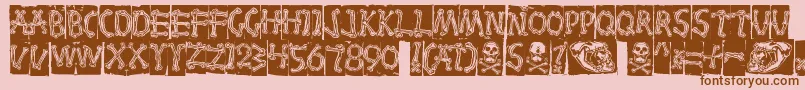 Bones Font – Brown Fonts on Pink Background
