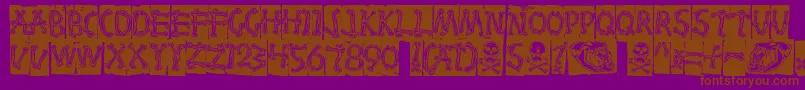 Bones Font – Brown Fonts on Purple Background