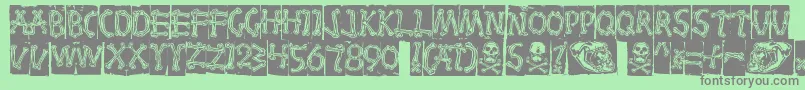 Bones Font – Gray Fonts on Green Background