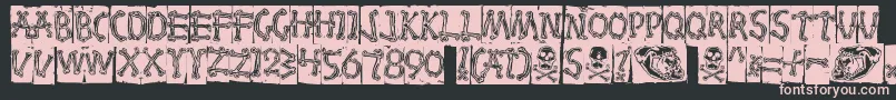 Bones Font – Pink Fonts on Black Background