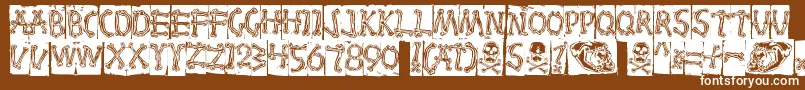 Bones Font – White Fonts on Brown Background