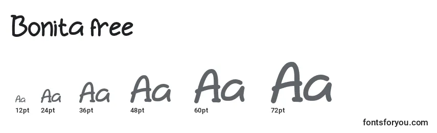 Bonita free Font Sizes