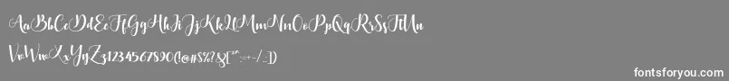 Bontella Script Font – White Fonts on Gray Background