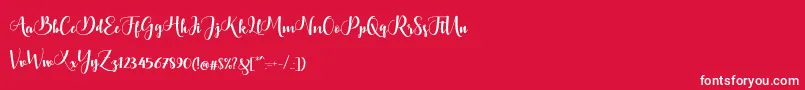 Bontella Script Font – White Fonts on Red Background