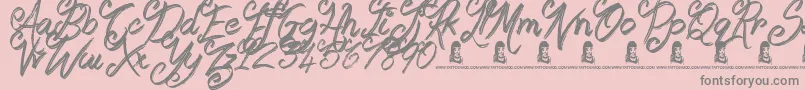 Booday-Schriftart – Graue Schriften auf rosa Hintergrund