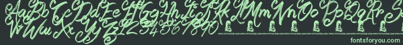 Booday Font – Green Fonts on Black Background