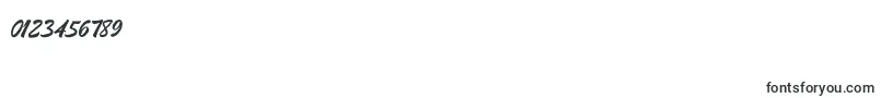Boomerang Font – Fonts for Numbers and Digits