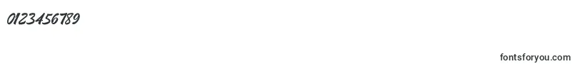 Boomerang Font – Fonts for Numbers and Digits