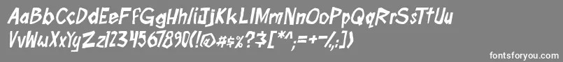 boomtankPG ital Font – White Fonts on Gray Background