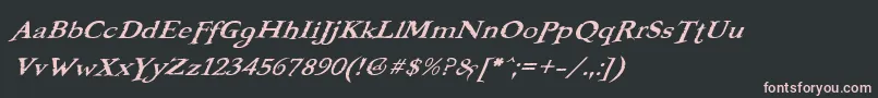 BOOTERFO Font – Pink Fonts on Black Background