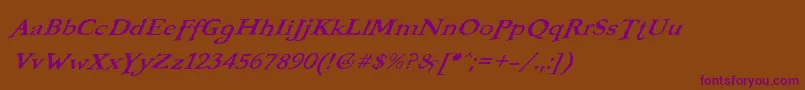 BOOTERFO Font – Purple Fonts on Brown Background