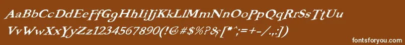 BOOTERFO Font – White Fonts on Brown Background