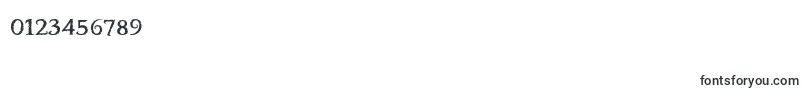 BOOTERFZ-Schriftart – Schriften für Zahlen und Nummern