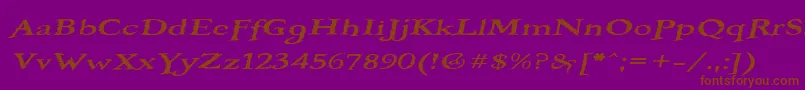 BOOTEROF Font – Brown Fonts on Purple Background