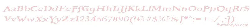 BOOTEROF Font – Pink Fonts on White Background