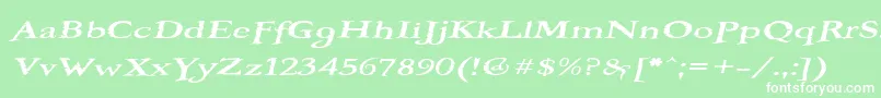 BOOTEROF Font – White Fonts on Green Background