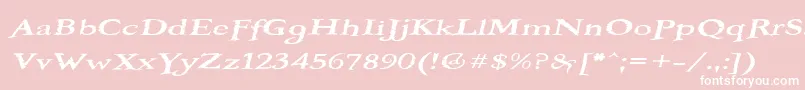 BOOTEROF Font – White Fonts on Pink Background