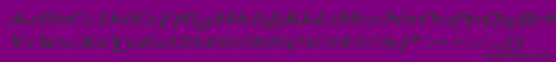 BOOTEROO Font – Black Fonts on Purple Background