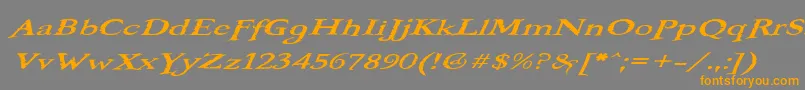 Weitere Informationen zur BOOTEROO-Schriftart BOOTEROO-Schriftart – Orangefarbene Schriften auf grauem Hintergrund