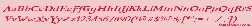 BOOTEROO Font – Red Fonts on Pink Background