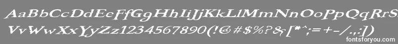 BOOTEROO Font – White Fonts on Gray Background