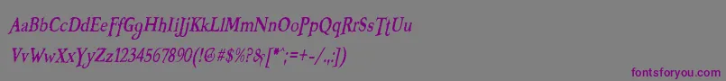 BOOTERZF Font – Purple Fonts on Gray Background