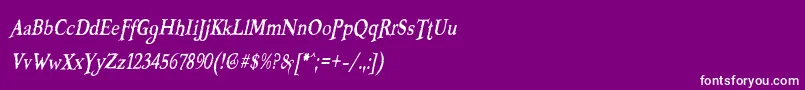 BOOTERZF Font – White Fonts on Purple Background