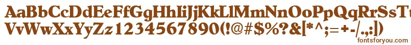 Шрифт NewEra – коричневые шрифты на белом фоне