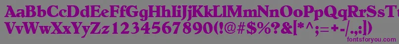 Шрифт NewEra – фиолетовые шрифты на сером фоне