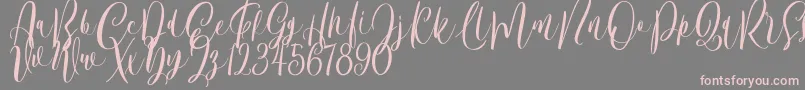 Bordellia Demo Font – Pink Fonts on Gray Background