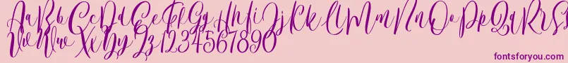 Bordellia Demo Font – Purple Fonts on Pink Background
