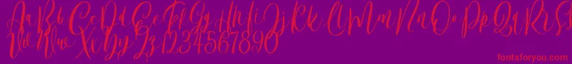 Bordellia Demo-Schriftart – Rote Schriften auf violettem Hintergrund