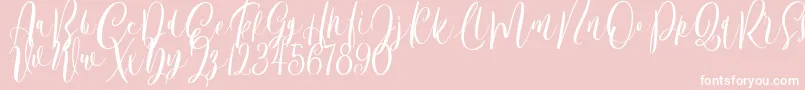 Bordellia Demo-Schriftart – Weiße Schriften auf rosa Hintergrund