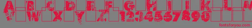 Border Line Font – Red Fonts on Gray Background