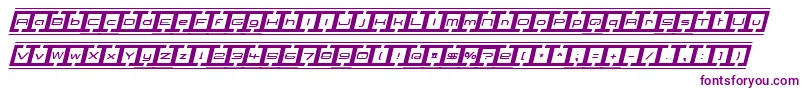 BorderBase Italic-fontti – violetit fontit valkoisella taustalla