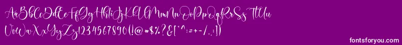 Шрифт Boshela – белые шрифты на фиолетовом фоне