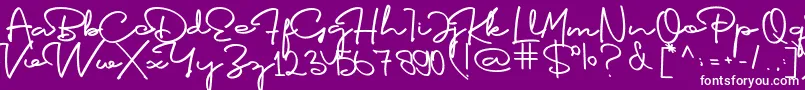 Bosrake-Schriftart – Weiße Schriften auf violettem Hintergrund