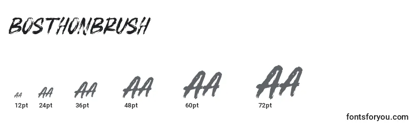 BOSTHONBRUSH Font Sizes