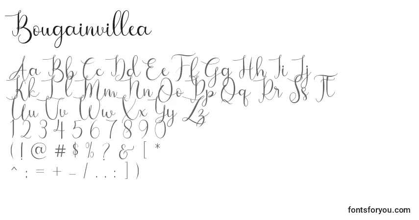 Czcionka Bougainvillea – alfabet, cyfry, specjalne znaki