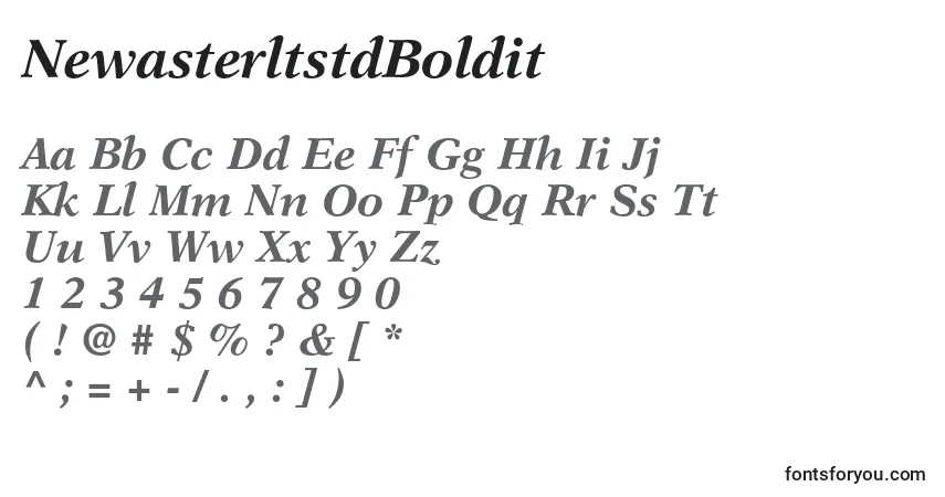 Schriftart NewasterltstdBoldit – Alphabet, Zahlen, spezielle Symbole