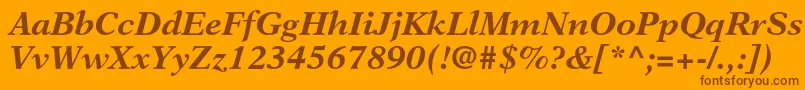 NewasterltstdBoldit Font – Brown Fonts on Orange Background